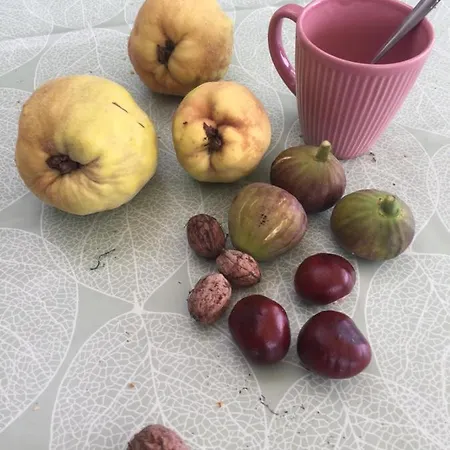 Ferienhaus Fuege Vendeghaz Csopak