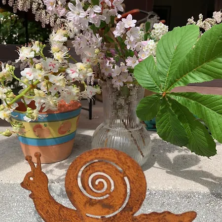 Fuege Vendeghaz Σπίτι διακοπών *