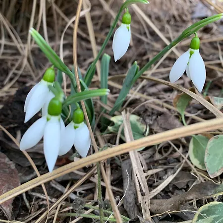 Vakantiehuis Fuege Vendeghaz Csopak