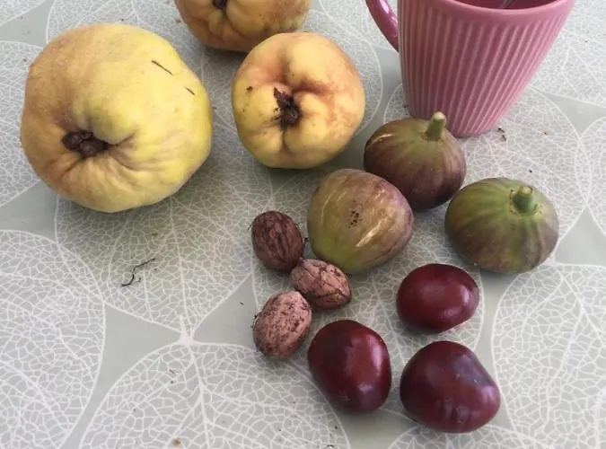 Holiday home Fuege Vendeghaz Csopak