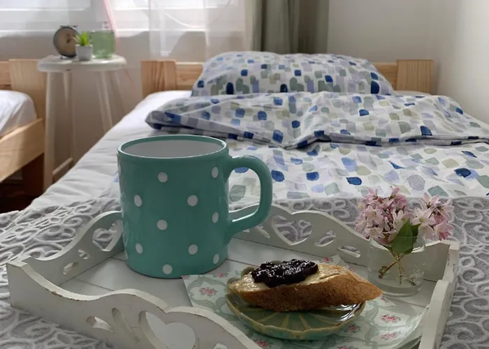 Fuege Vendeghaz 度假居 乔保克