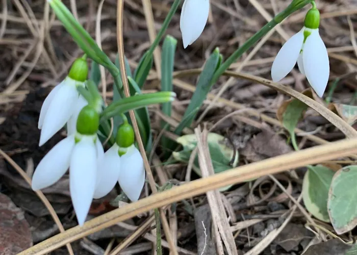 度假居 Fuege Vendeghaz 乔保克